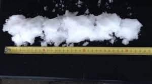 Hier al meer dan 30cm!