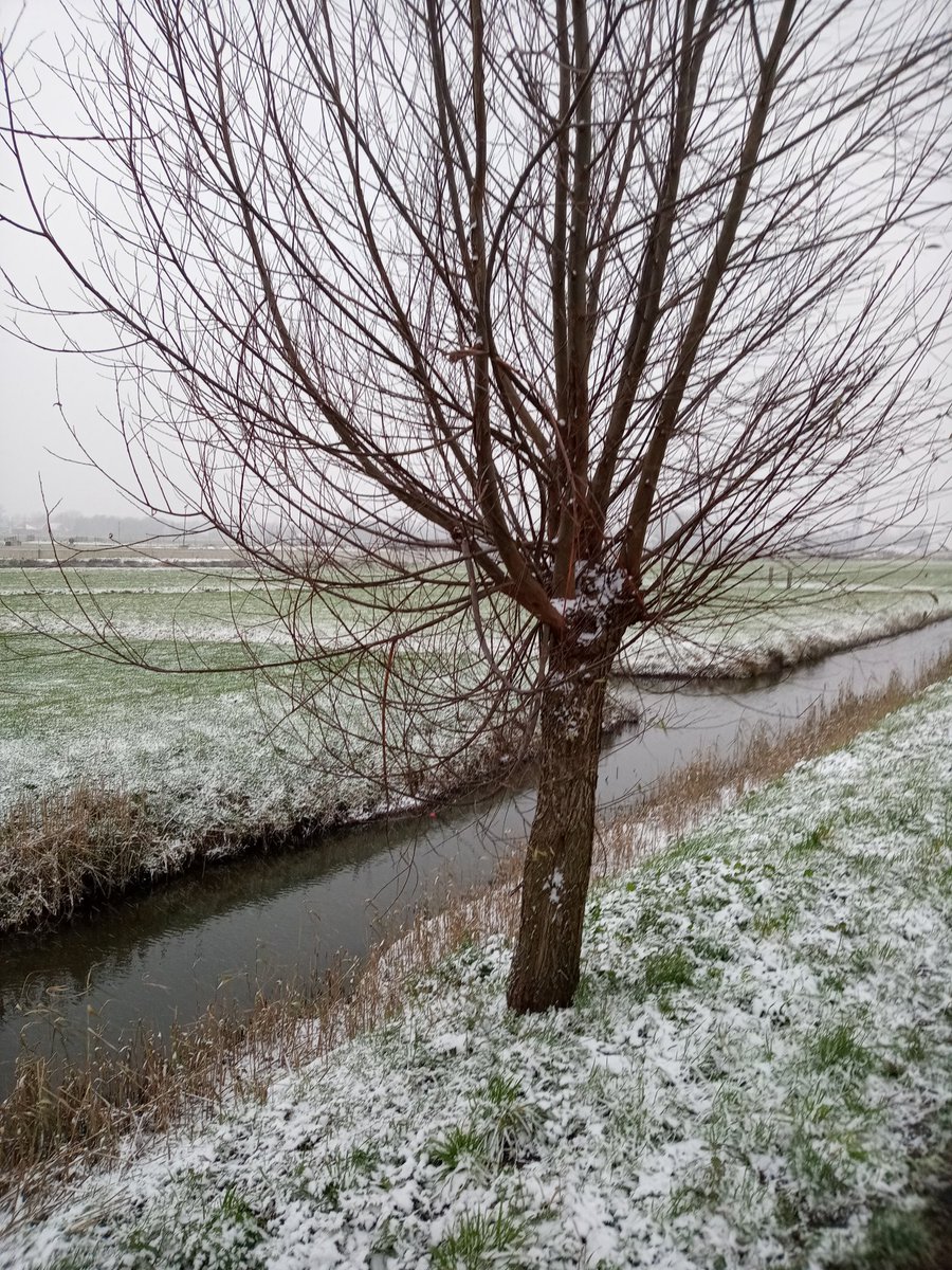 Hier een héél klein beetje winter....😙...⛄.....