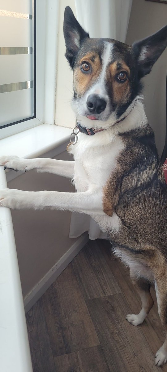 11th Eastbourne Scout Group tweet media