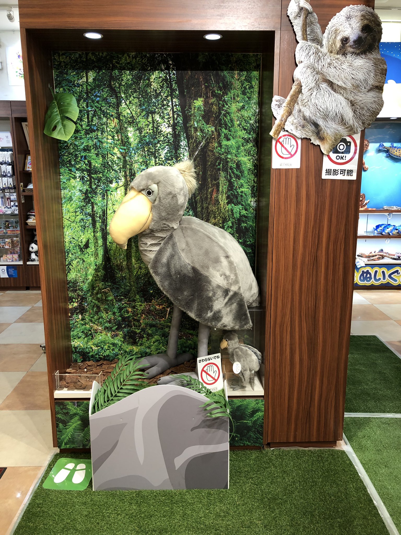 等身大ぬいぐるみ　ハシビロコウ 楽天市場】BIG HUG ZOO ぬいぐるみ(ハシビロコウ) 全長約50cm