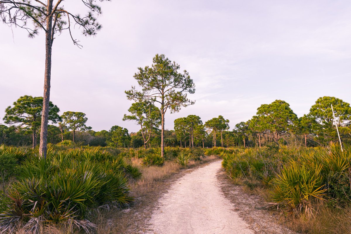 Visit St. Pete-Clearwater tweet media