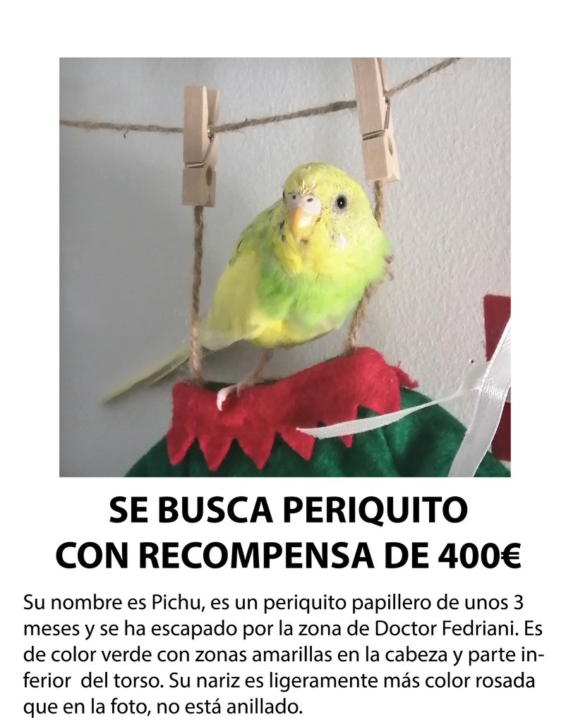 Penedemadera's tweet photo. Por primera vez, me hace falta que se agradezca difusión, contactar por DM https://t.co/sEb1QUqWej