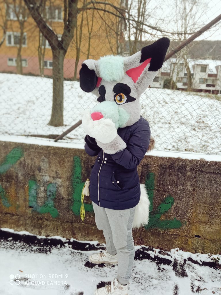 Tyler64559265's tweet photo. Snowy day ^^ https://t.co/MBYRQiqxaV