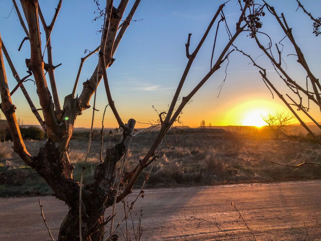 Magnificas fotos de esta misma mañana en nuestro pueblo #Lardero #TodoTanCerca #Maravillas