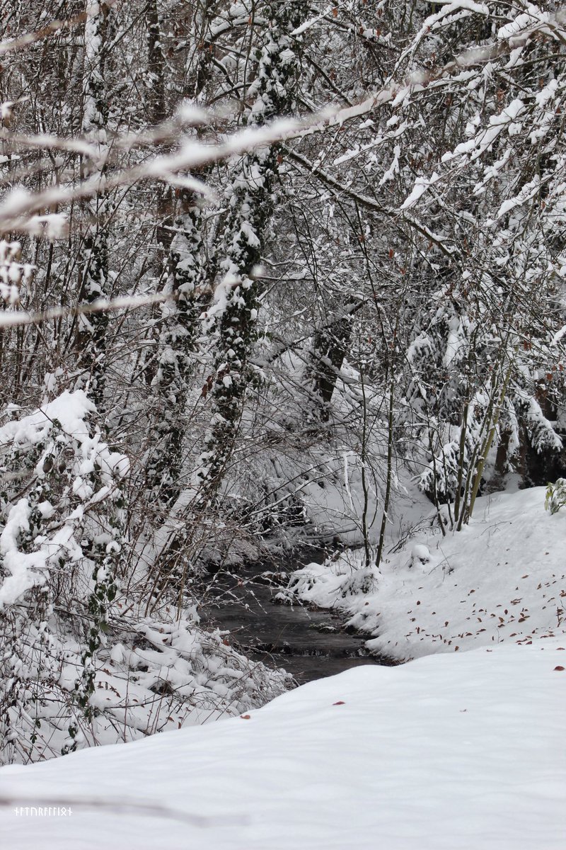 Cela faisait si longtemps qu’elle n’avait pas étendu son manteau blanc... en Alsace #BaladeSympa #MagnifiqueFrance #alsace