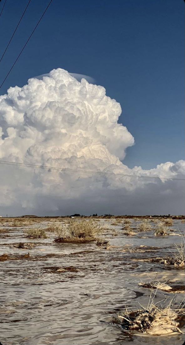 يا نجد لو كل العرب منك ملّت
ما املّ من نجد العذيه ولا اتوب ♥️🌨.