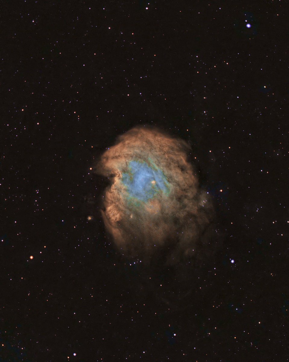dazza1639's tweet photo. Had a go at reprocessing my #Monkeyhead nebula. #NGC2175 #Astrophotography #Astronomy #Space https://t.co/oKXWu7Y5Or