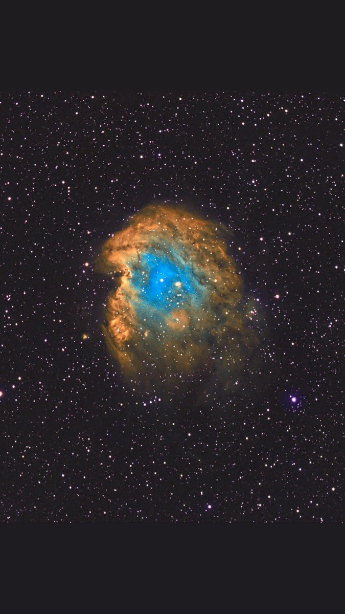 dazza1639's tweet photo. Had a go at reprocessing my #Monkeyhead nebula. #NGC2175 #Astrophotography #Astronomy #Space https://t.co/oKXWu7Y5Or