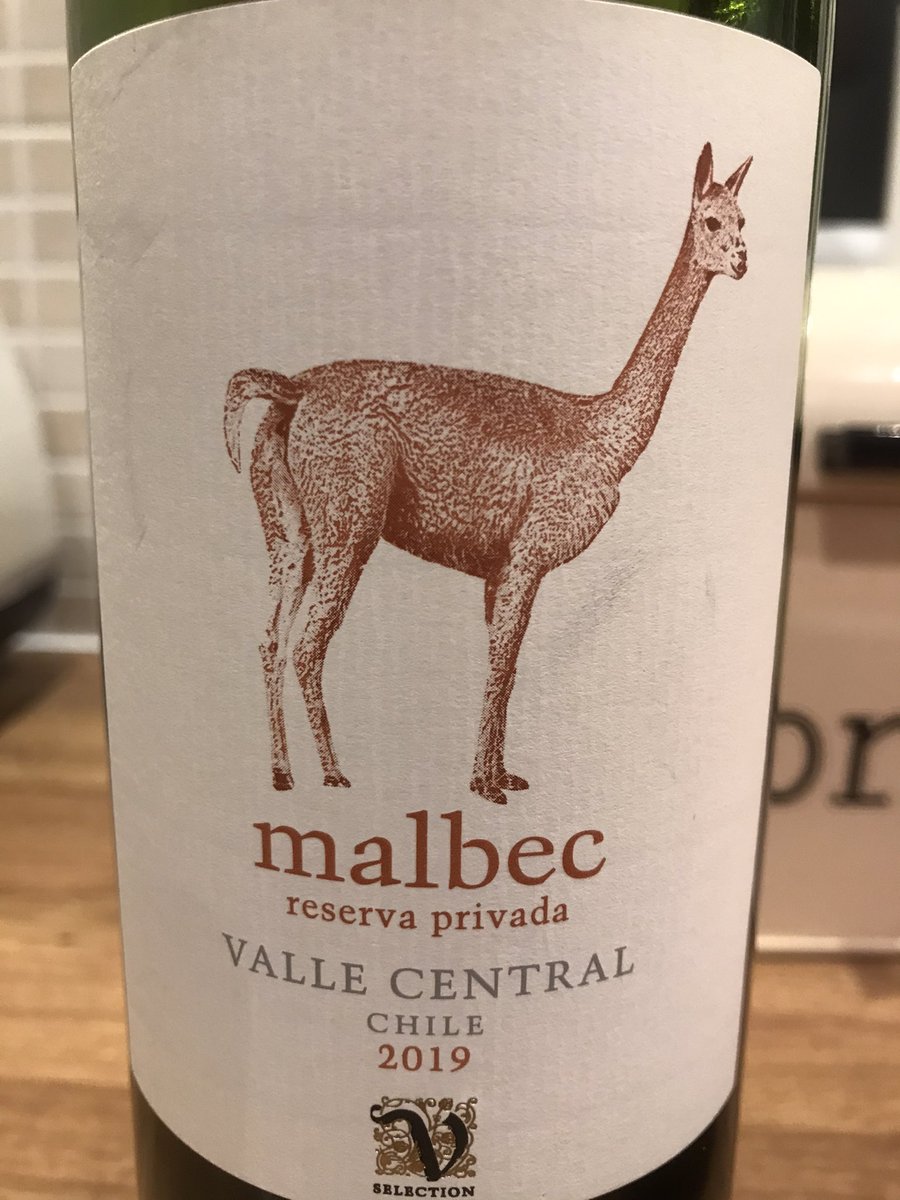 HeadysFarm's tweet photo. It’s a nice bottle of red wine🍷, but from my experience with livestock I can’t help but think this vicuña is breaking wind 💨. #PardonYou #wine #redwine #malbec #ChileanWine #camelid #vicuna https://t.co/Nm6p6vQHTx