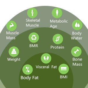 paiydaservices's tweet photo. Measure 13 Physical Information
With the help of Paiyda Bodyfatscale.

#bodycheck #bodybuilding #bodytransformation https://t.co/vN0nm5d7mh