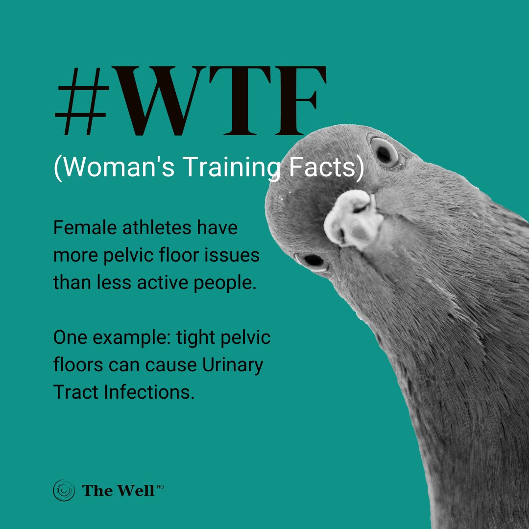 thewellhq's tweet photo. The pelvic floor's one of the most under-appreciated areas of the #femalebody; certainly for the #femaleathlete.
How to ensure a healthy pelvic floor?
Pelvic floor exercises ... they really work.
#PelvicFloor #Pelvis #Athlete #WomenInSport #WomenInTraining https://t.co/UwrOVytjWd