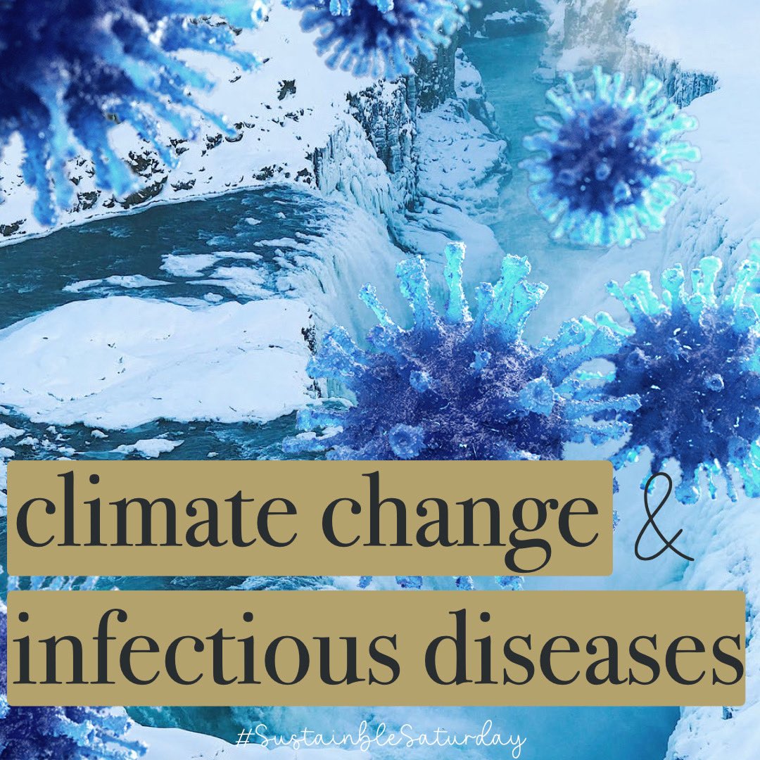 infectiousdaily's tweet photo. 2020 was one of the warmest years. 🥵 
Infectious diseases will emerge and re-emerge due to #climate change 🦠 🌍 🔥 
.
.
Learn more on our page below👇🏼
https://t.co/9Cc6A32vig

#OnePlanetSummit #ClimateAction #ClimateCrisis #climateadaptation #infectiousdiseasedaily https://t.co/PqNoSQawBv