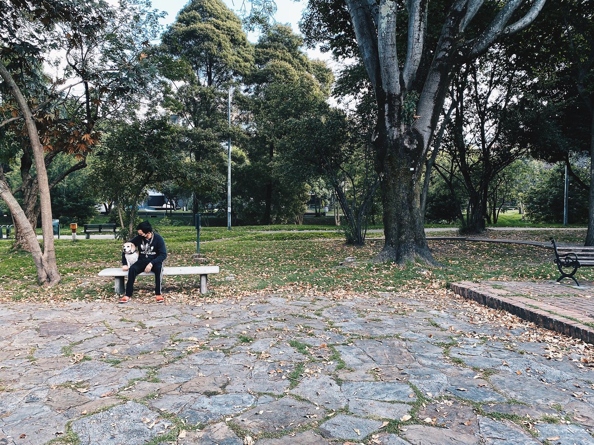 Rafa Hernández P. tweet media