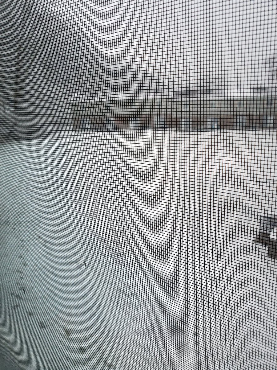 LegendofTimMFG's tweet image. Prefect weather to stay in and stream vidya games. Love with more #ApexLegends