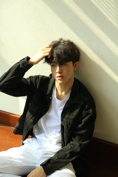 wangyi tweet media