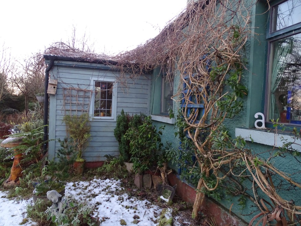 The new calendar year has begun and many are casting a glance over their shoulder to the year that was...difficult for many and with, as yet, unseen consequences for all...