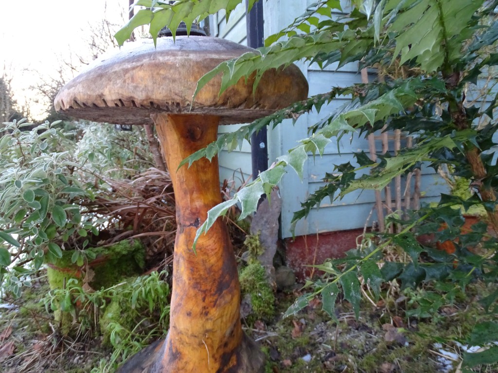 I finished off the last month of 2020 by planting twenty three trees into the woodland of Bealtaine Cottage. This first week of 2021 I have bought four bare-root Irish Oaks to continue the planting of much-needed trees.