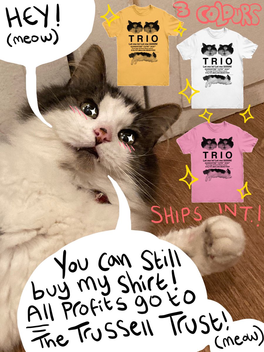 There's still time to place an order for this limited-time Trio shirt!
It's up until the 31st to pick up this Trio charity shirt!
?ALL PROFITS GO TO THE TRUSSELL TRUST TO HELP FIGHT HUNGER IN THE UK?
?Ships internationally?
?Comes in 3 colours?
https://t.co/fXSjudG0pp