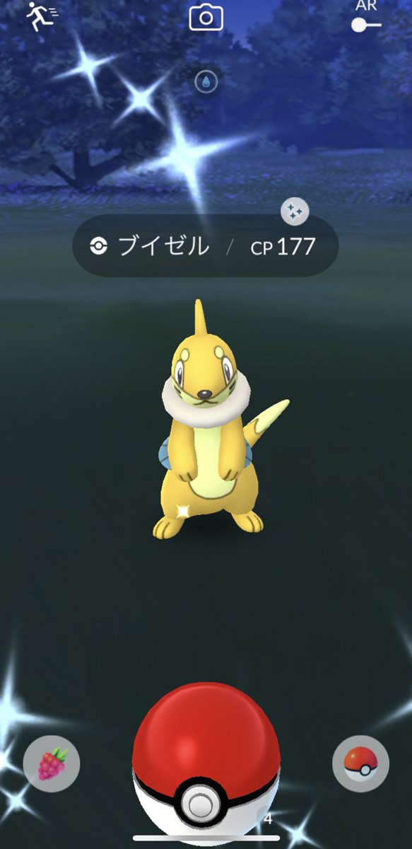 すらっしゅ Auf Twitter 今日の色違いは ワンリキー以外で コミュデーだから ブイゼルがやっと やっと光ったぁー あとカモネギ カモネギは光りすぎてもう持てなくて送ってる ニューラと同じぐらい色違いの確率高いと思ってるw ブイゼルの色違いはもう1匹出たら