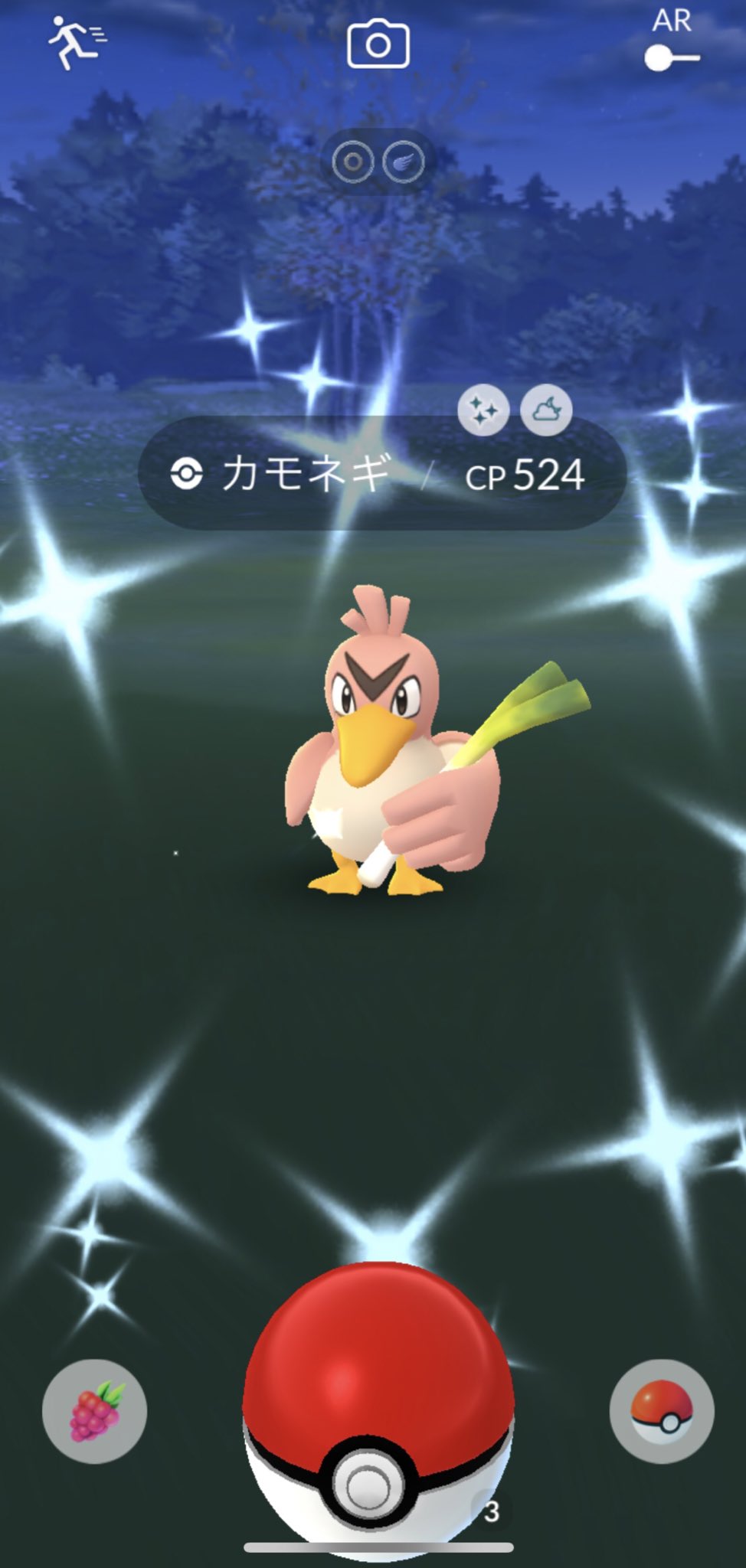 すらっしゅ Auf Twitter 今日の色違いは ワンリキー以外で コミュデーだから ブイゼルがやっと やっと光ったぁー あとカモネギ カモネギは光りすぎてもう持てなくて送ってる ニューラと同じぐらい色違いの確率高いと思ってるw ブイゼルの色違いはもう1匹出たら