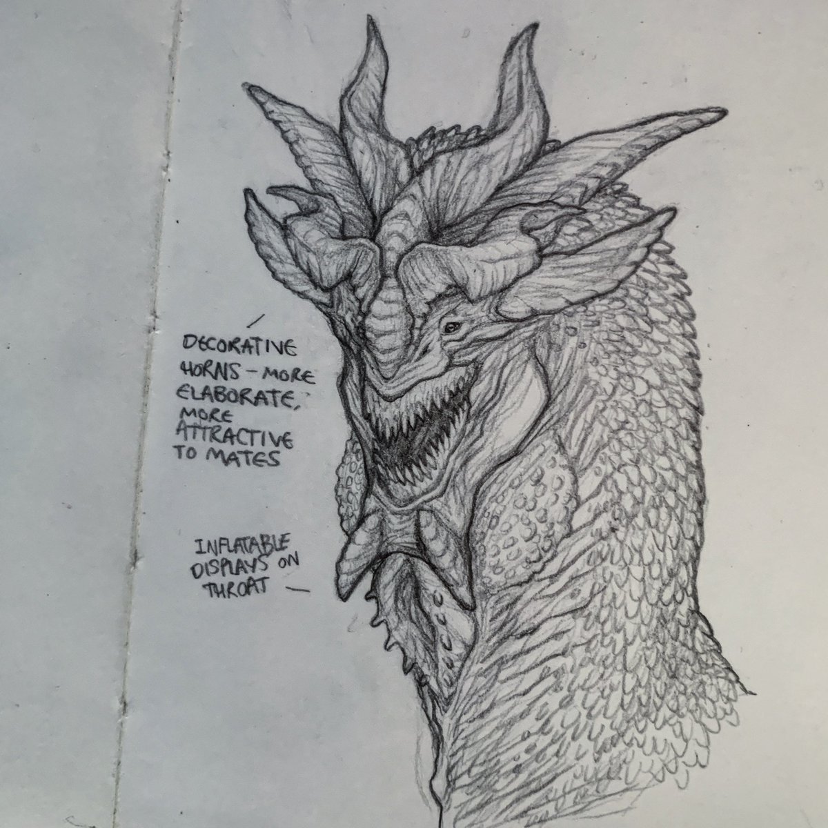 #AppreciateADragonDay ? I have lots of dragons ? 