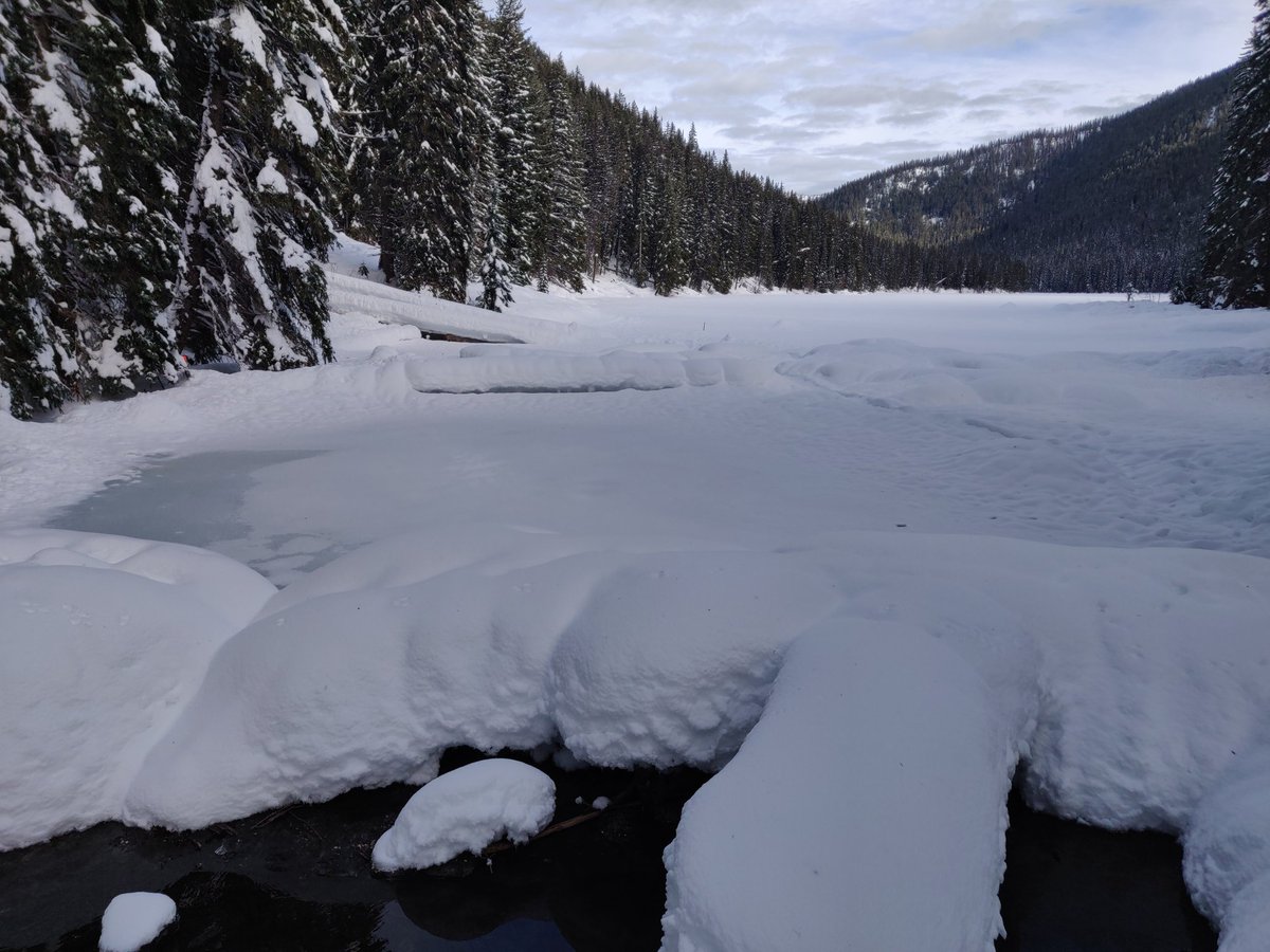 lindabear78's tweet photo. I've been lazy about posting my #WinterofCMTR badges. Went snowshoeing around Lightning Lake with Jordanne, Tikka &amp; Arty. I'd brought chocolate, but then Jay surprised me with a chocolate donut. https://t.co/CSElDWvQUb