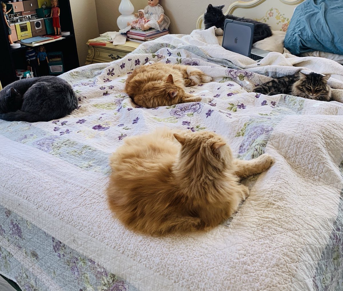 kittystuart's tweet image. Here’s a few of my writing partners