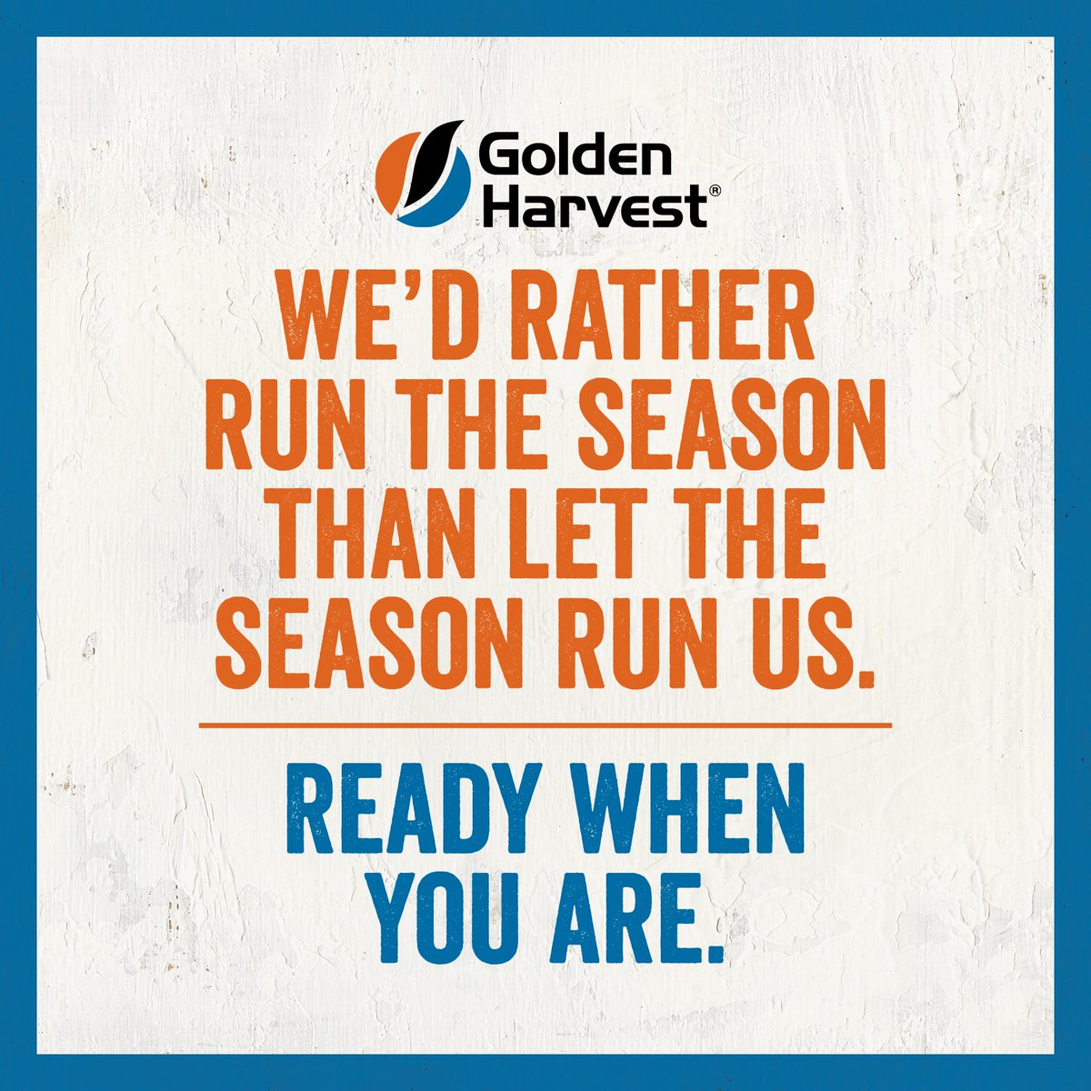GldnHarvest's tweet photo. From locally proven product recommendations to tailored insights #GoldenHarvest does #WhateverItTakes to deliver a #Service365 experience that yields results. Let's #RunTheSeason https://t.co/nOKU3SOH0Z