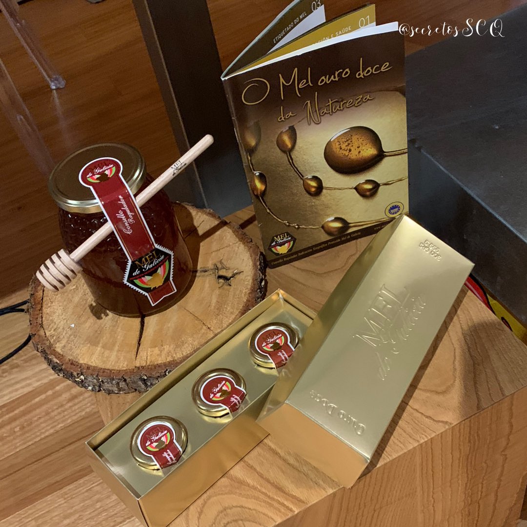 SecretosSCQ's tweet photo. Genial merienda literaria con  @MeldeGalicia @TerneraGallega @slowcompostela @pandecea 
🐝Tosta d Pan Cea, queixo Cebreiro, Castaña d Galicia &amp; Mel d Galicia 🐝Pulga d Ternera Gallega lacada con Mel d Galicia 🐝 Charlota d Castaña d Galicia rellena d bavorois &amp; Mel de Galicia. https://t.co/4HOP0DNrWc