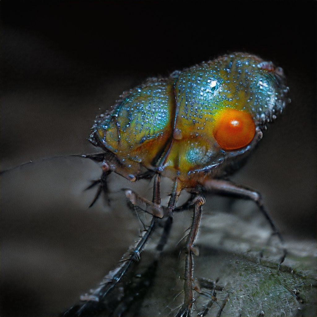ela4zero's tweet photo. Artificial insect #symbiote #GANvision #styleGAN2ada #insects https://t.co/hgCnAW3Df0