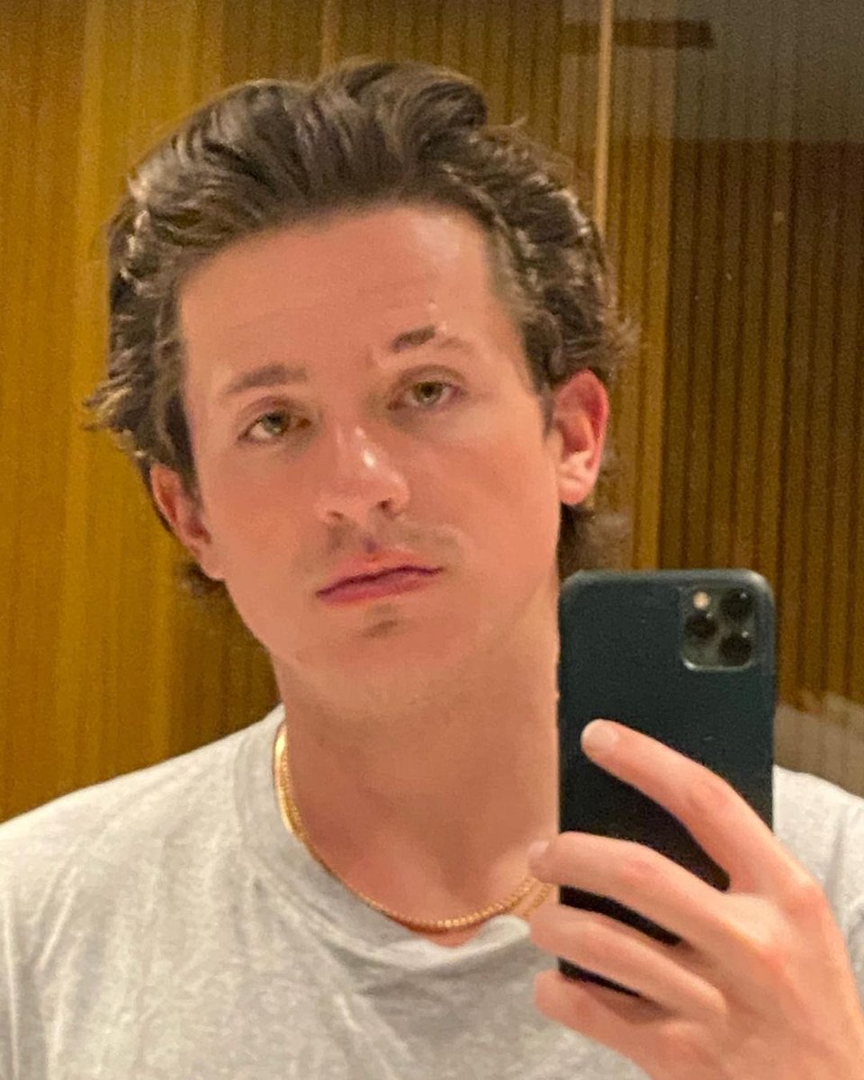 Charlie Puth Updates on Twitter  Instagram  The mullet is growing   January 16 2021 httpstcoQbyJtEP3XQ  Twitter