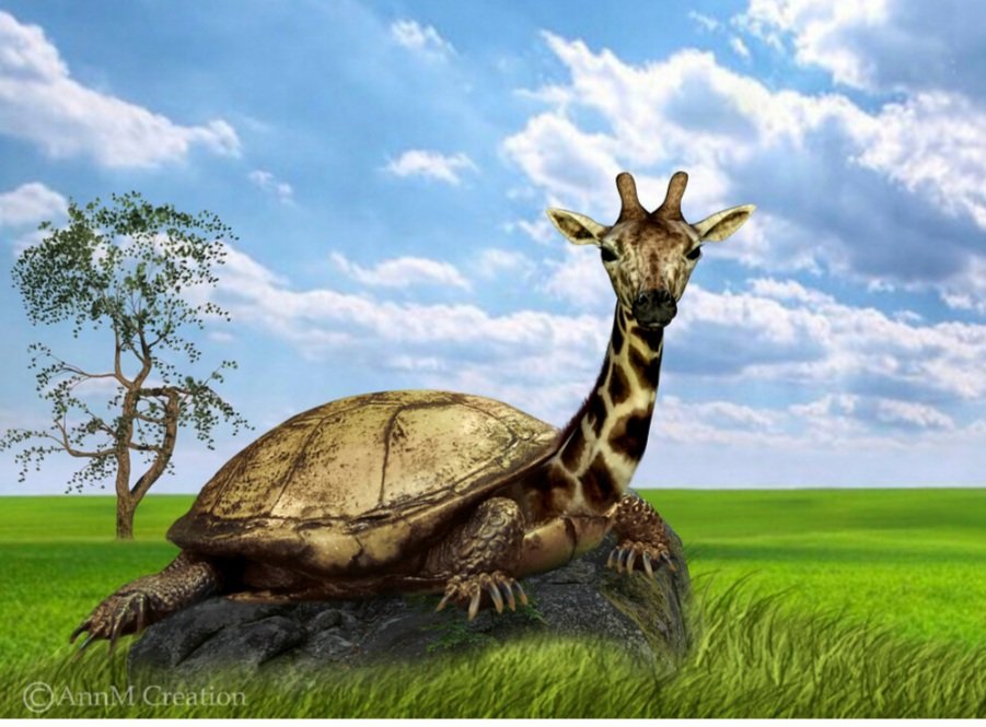 #10. TortoiffeA discreet shell lies in the grass. A head comes out slowly, keeps coming out, keeps coming out, keeps coming out. Soon you see the head is 15 feet in the air, the shell is on the ground, and a long neck bridges the both. You’ve met Tortoiffe.