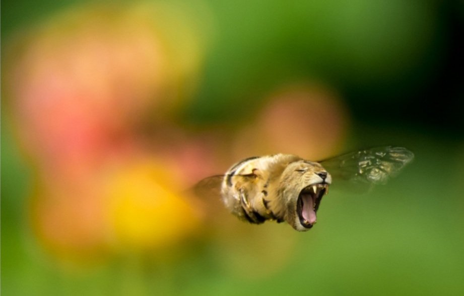 #14. BeelionBeelion’s sting or bite, either of those will hurt like hell. Bees are already terrifying as fuck when they are angry, let’s rejoice that they don’t have lion heads.