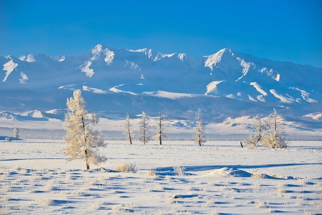 Altai Mountains