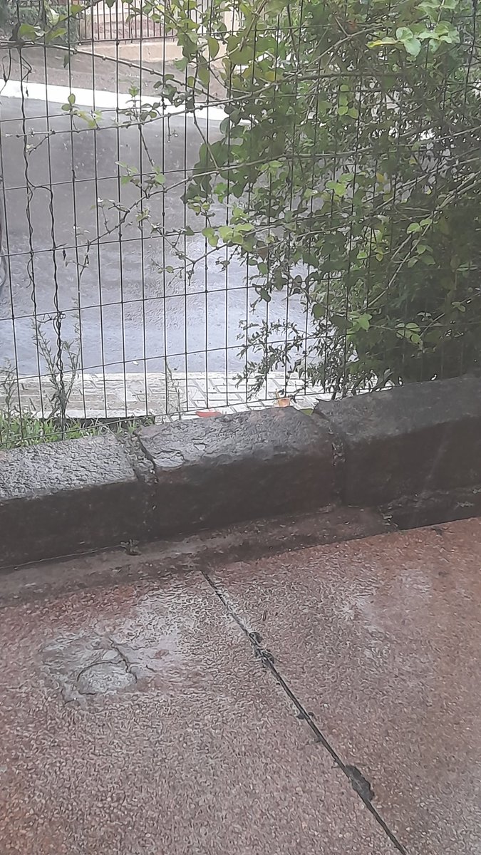 Desconfio de quem não gosta de um banho de chuva...