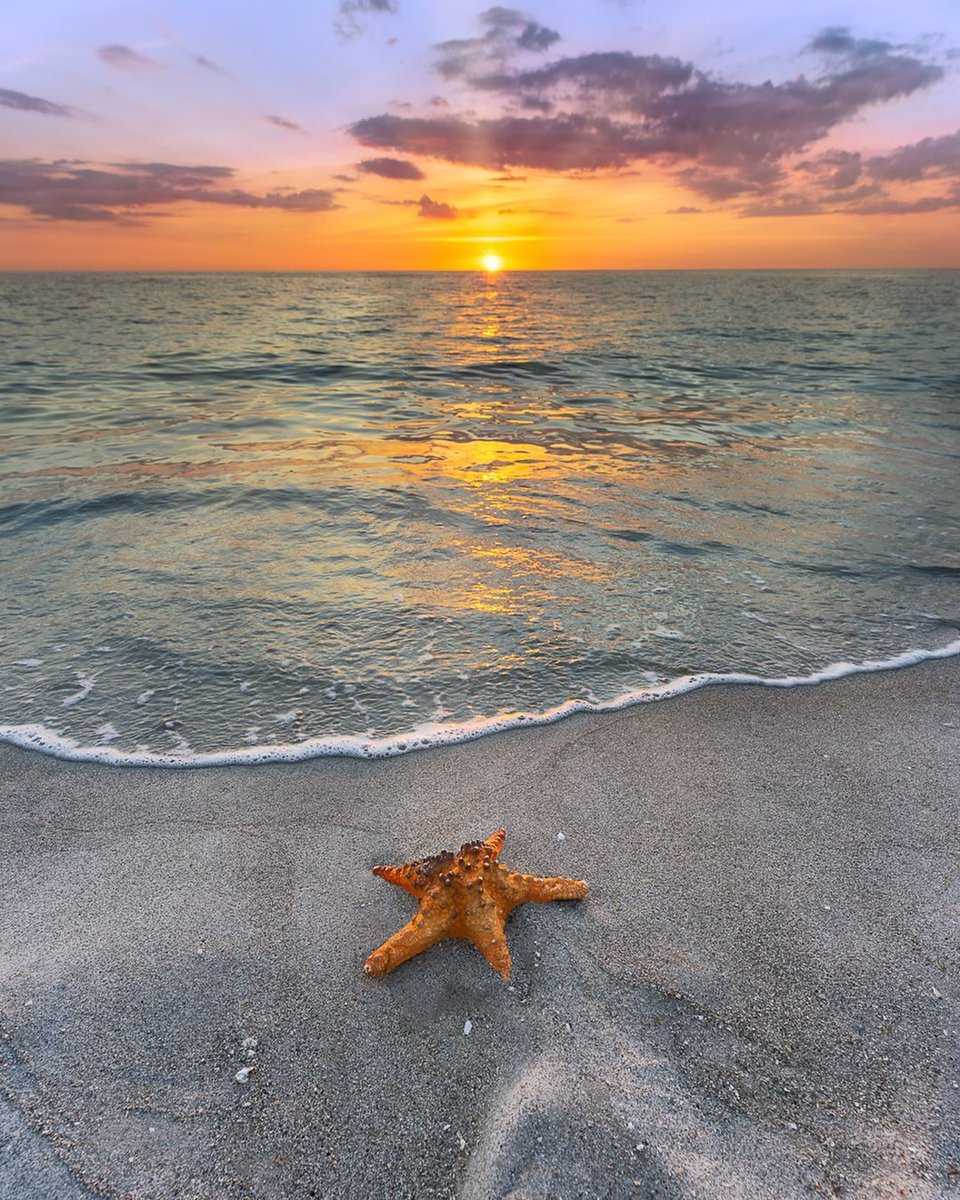 Must See Florida tweet media