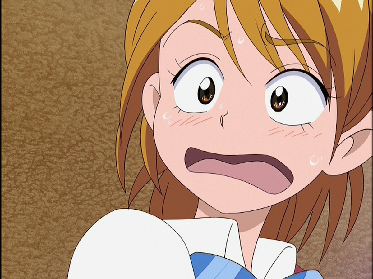 ふたりはプリキュア第35話の美墨なぎささん画像を貼りつつ、もう