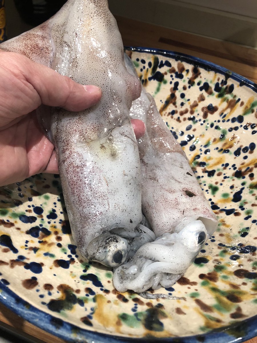 fernando saenz 🍦 tweet media