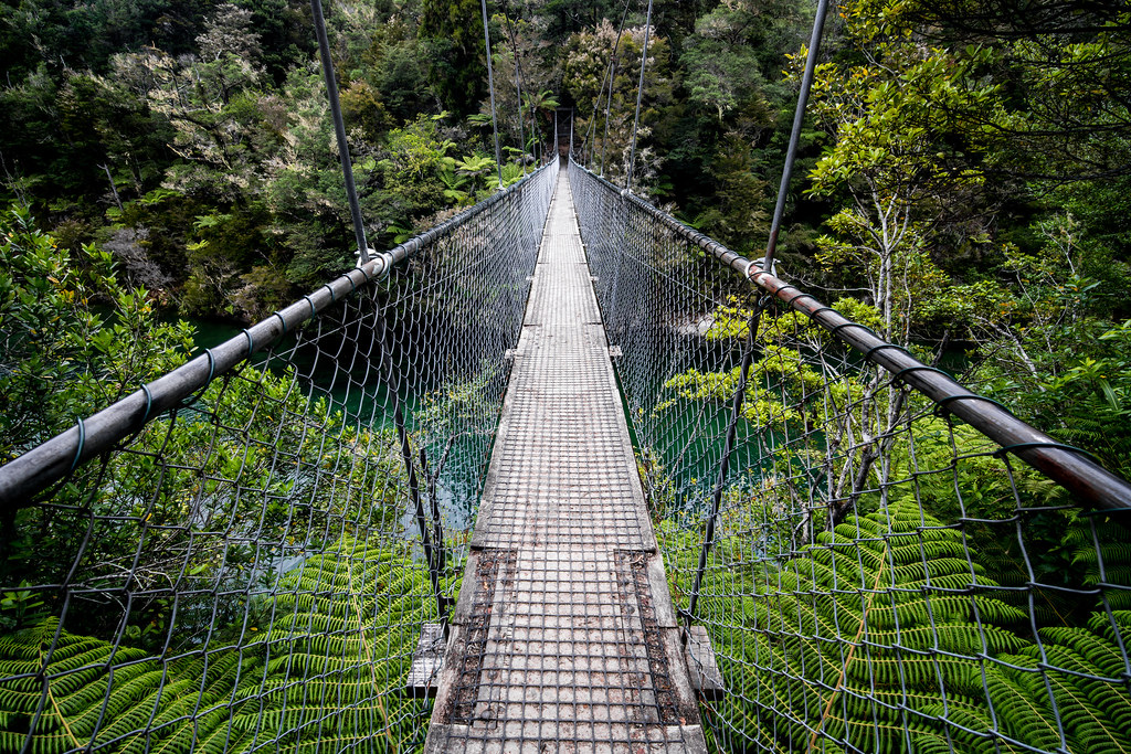 GuestNZ's tweet photo. We love the swing bridges in New Zealand. They usually take you over a canopy of native trees or high up over a river. They are a very safe way of getting from one side to another. This swing bridge is found the Abel Tasman National Park in the Upper South Island. https://t.co/ZQdXdHuj3g