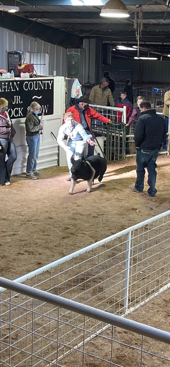 DavidNeuman16's tweet photo. Another bittersweet senior moment with Dylan.  His last show im Callahan County and he took home Overall Grand Champion Steer and Overall Reserve Grand Champion pig!  Been a great pleasure watching him grow, learn and suceed.  Now a bright future for Camdyn after his 2nd place. https://t.co/Y464h72FRu
