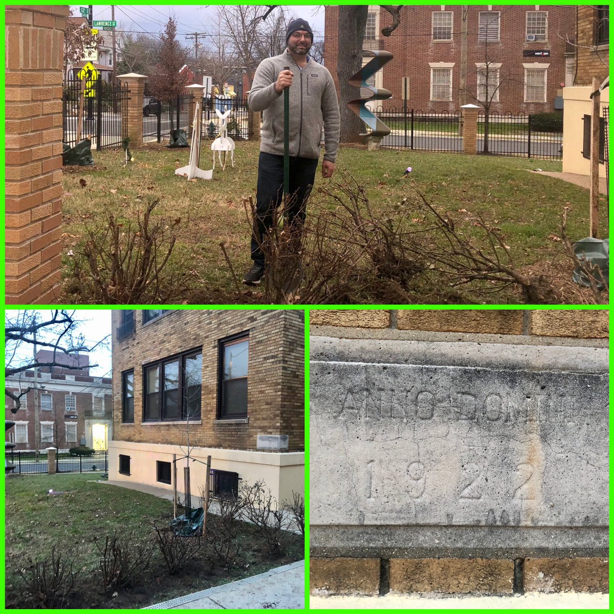 STA_Brookland's tweet photo. St. Anthony just adopted eight rose bushes in need of #STALove. Fingers crossed we will have beautiful roses in a few months!
#STABlessed #CCAGrows https://t.co/mGHE4zJ9Sq