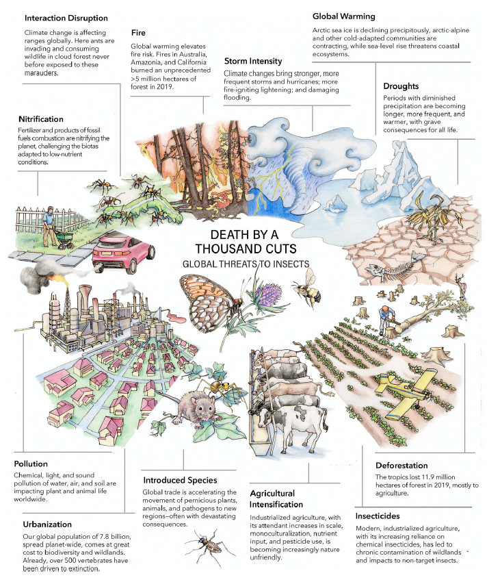 2 Million Blossoms tweet media