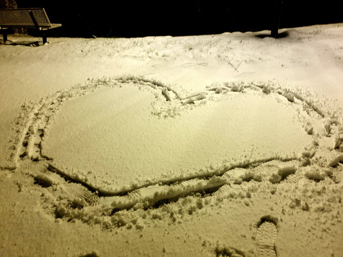 Perroyceline's tweet photo. Un peu de tendresse en ces temps particuliers https://t.co/P5C90B1Mc1