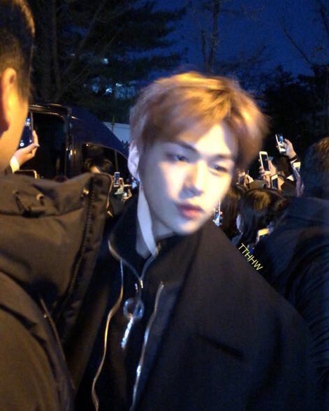 kang daniel in real life; a thread 