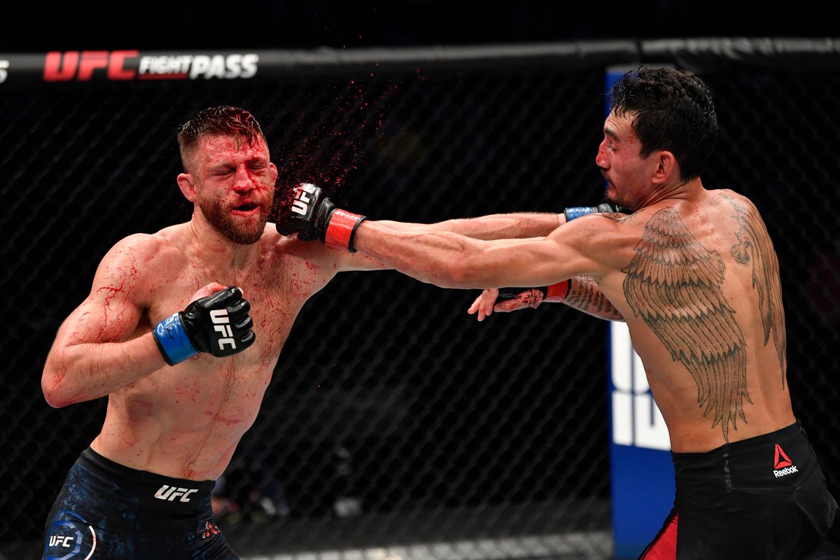 ufc's tweet photo. These shots are incredible 🤯 #UFCFightIsland7 https://t.co/t3WXSIH0yV