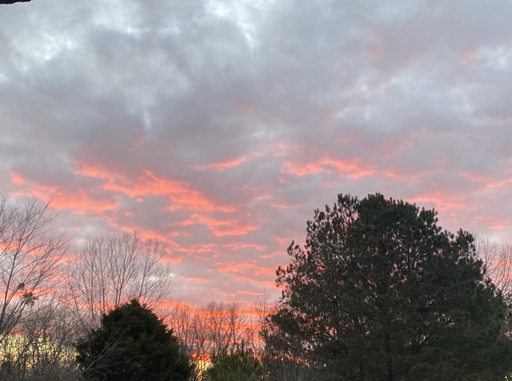 bellanewman's tweet photo. That sunset! Lamar County, AL
@spann @weswyattweather @WTVAWeather https://t.co/WNRfBtfanw