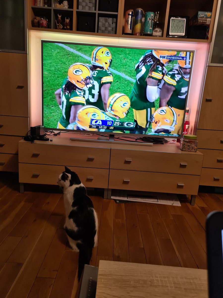 Katze ist Not amused... Ist wohl Rams Fan🤷😂 #rannfl #ranNFLsuechtig #GoPackGo #Footballcat #watchingtogether @Icke41