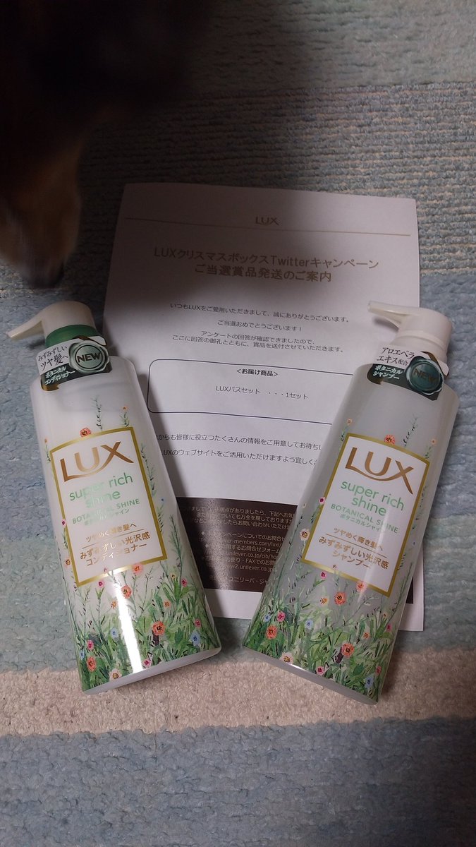 クリスマスボックス