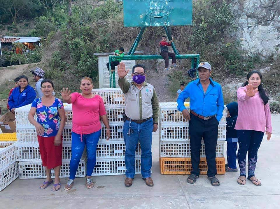 RobertonyPerey1's tweet photo. Director del Centro de Desarrollo Experimental y Educación Ambiental A.C. Dr. #MontejoCamacho, realizo entrega de paquetes de pollitas ponedoras a mujeres productoras del ejido el Portillo, #Villaflores, cumpliendo compromisos que dejan huella, buen gestor. https://t.co/9Qmtzqz1p4