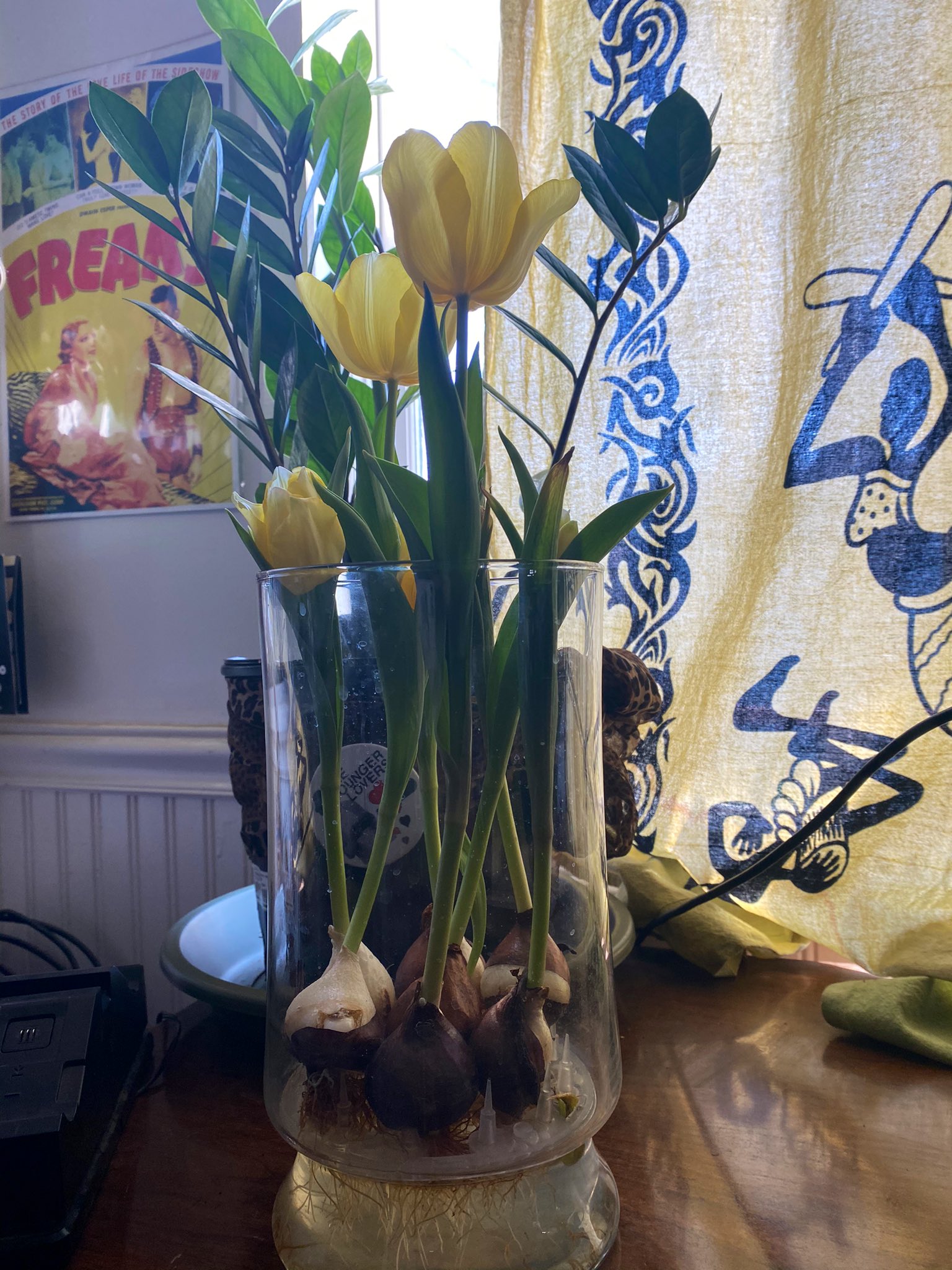 TW Pornstars Daisy Ducati. Twitter. I'm so proud of my hydroponic